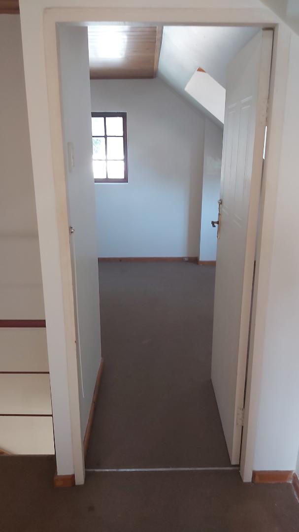 To Let 0 Bedroom Property for Rent in Walmer Eastern Cape
